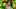 stellaluna-edseries-website-banner-1920x1080