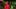 MOMIX-alice_page-banner_1920x1080