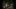 NatalieAndDonnell_page-banner