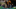 BhamExit_AmigotheDevil_banner-1920x1080 (1)
