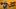SteveForbert_page-banner_1920x1007